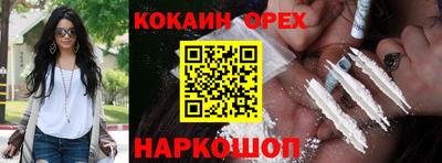 сатива Абакан