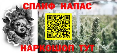 крисы Азнакаево