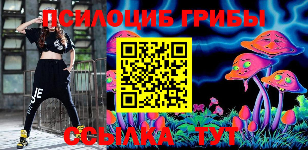 Апатиты  Галлюциногенные грибы Psilocybe  Вход с VPN 