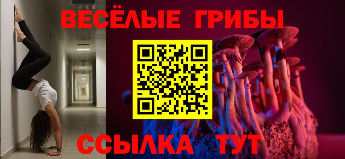 Галлюциногенные грибы Psilocybine cubensis Апатиты